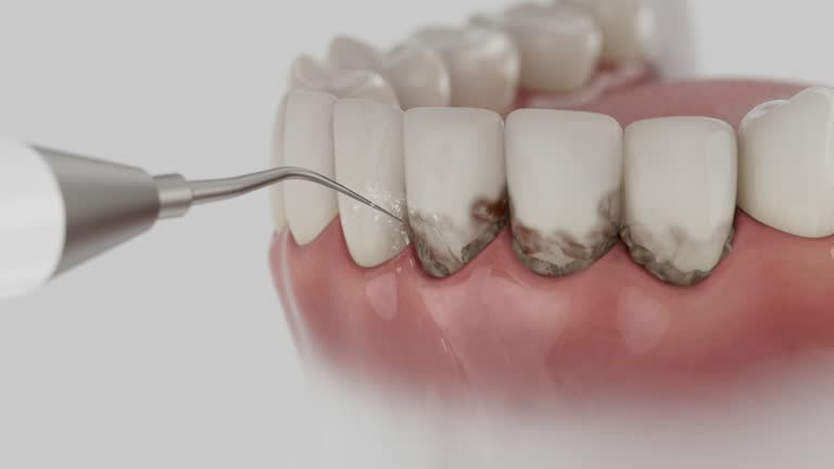 Reliable Dental contractor in Macon County County, MO by Dentist Open Now